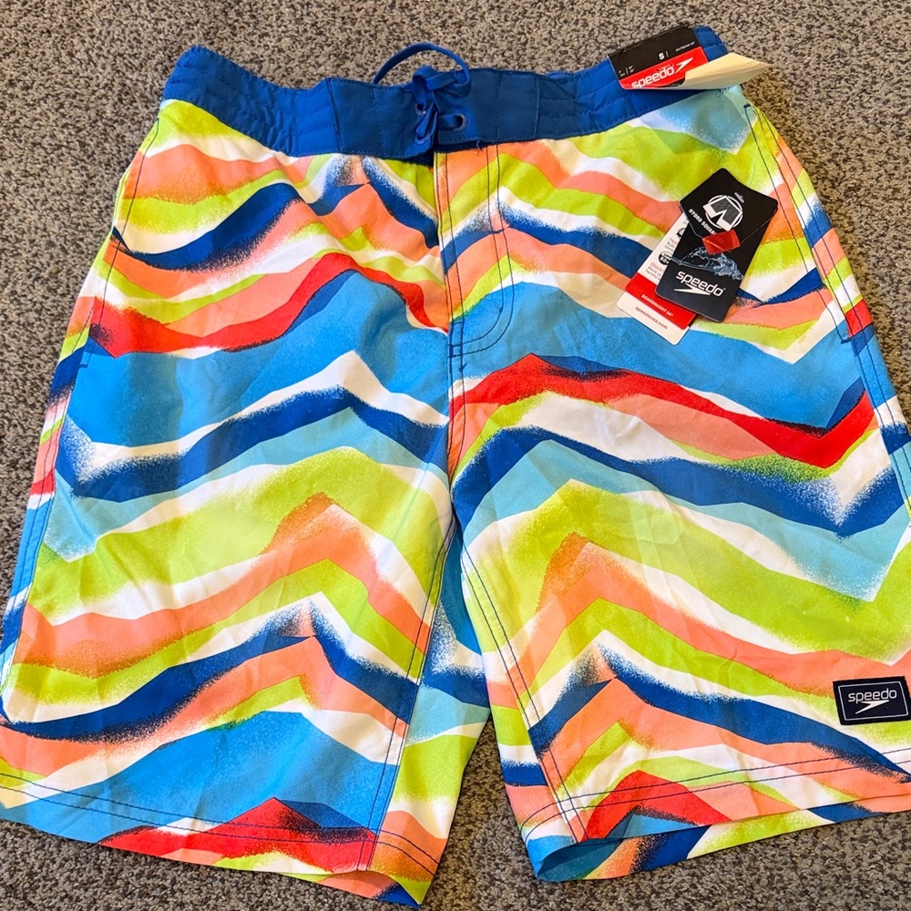 Speedo Men's Multicolor Wave-Stripe Swim Shorts - Blue/Green/Red/Orange
